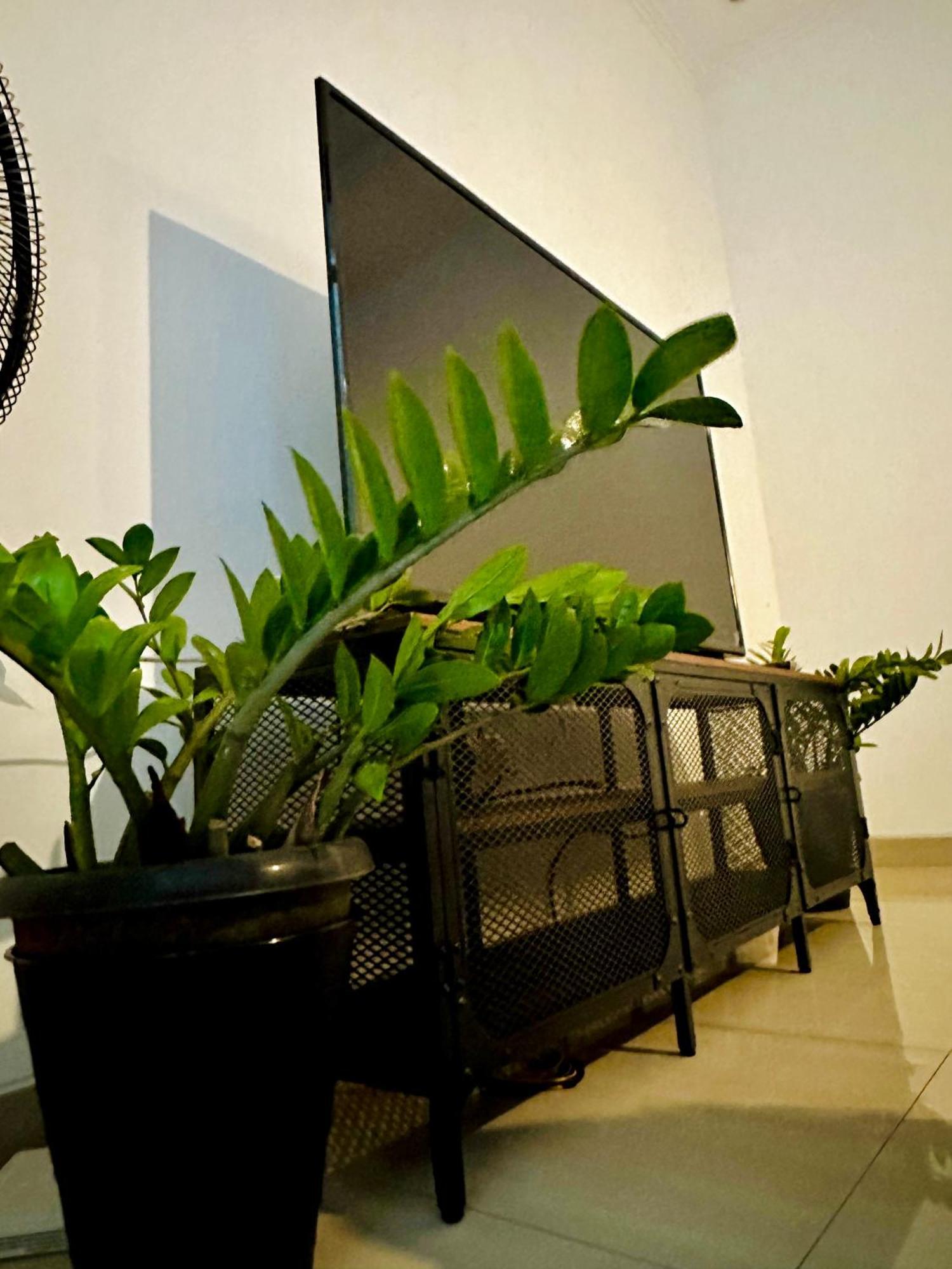 4-Bedroom Home In South Jakarta Nuansa Swadarma Residence By Le Ciel Hospitality Exteriör bild